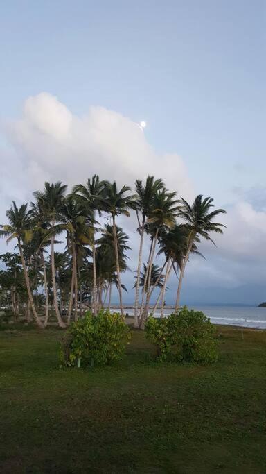 Free Wifi 1St Floor Apartment Punta Santiago Экстерьер фото